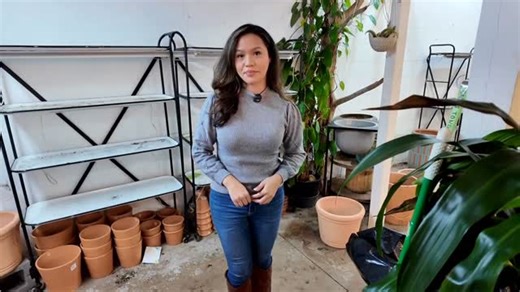 Patsy | A local plant business owner thought she was covered after losing everything in the winter storm — until her insurance company called back... | Instagram