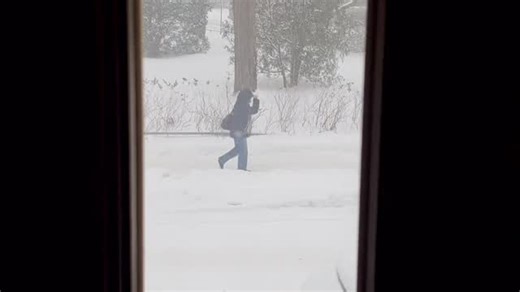 Hans Brinkmann on Instagram: "Montreal I am inside of you"