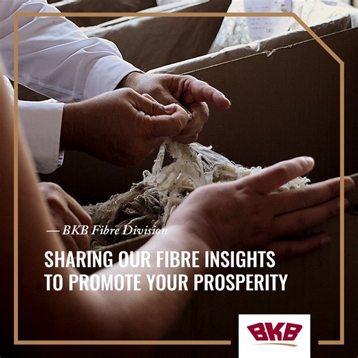 3.2K views · 32 reactions | Watch as some of our dedicated wool growers join us at our wool store in Gqeberha where we share valuable insights and witness fibre at its best with Leon du Plessis and Johann van Wyk.​ -​ #BKBLtd #Wool #Tour #Journey #Expertise #Growers #Farmer #Farming | BKB | Facebook