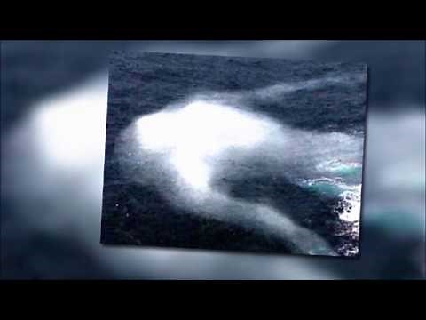 The NINGEN. Giant humanoid creature. Sighted in the Antarctic Ocean. Real or fake?