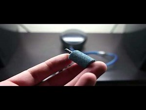 DWC Hydroponics Setup