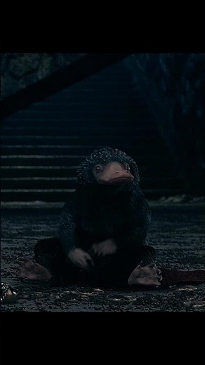 Fantastic Beasts: The Secrets of Dumbledore (2022) | The Mischievous Niffler in Action