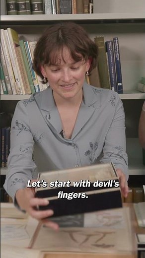 Kew's Fungarium - The world's biggest fungal collection #fungus #mushroom #kew #kewgardens #nature