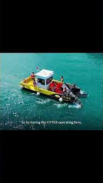 Inside Our Ocean Plastic Cleanup Project in #Bali | #sustainability #plastic #ocean #environment