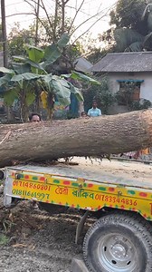 #trolly #thetrolly #spirituality #FaithInGod #albumcompletion #mobilemechanic #compassion #wildlifeconservation #vehicle #viral #viedo #shotviedo | Alamgir Technician Icon