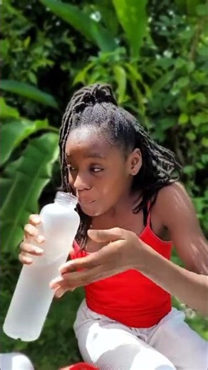 The Truth About Jamaican Moringa Benefits