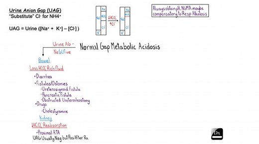 Metabolic Acidosis: NAGMA