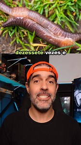 Os reis da cópula do reino animal... Se liga... #biologia #animais #copula #minhoca #antechinus #chimpanze #leao #zoologia #curiosidades #vocesabia | Pidobiologia