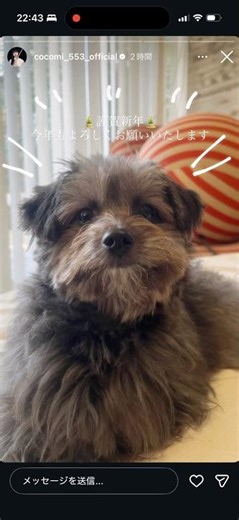 Cocomi 木村拓哉 工藤静香 Kōki @cocomi_553_official @takuya_kimura_takuya @kudo_shizuka @koki