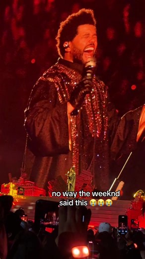 The Weeknd's Hilarious Concert Moments