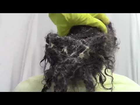 Expert Tips & Techniques to Detangling Matted Hair Revealed!