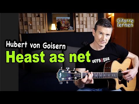 HEAST AS NET (Hubert von Goisern) | leichte Akkorde & Picking | Gitarre lernen