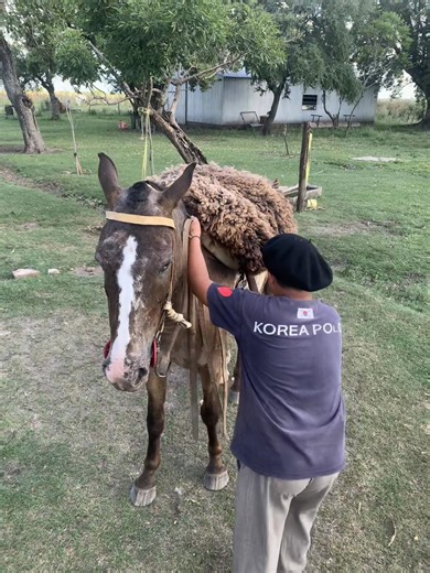 Ta pesado mi peticero 🤣🤣#paratiiiiiiiiiiiiiiiiiiiiiiiiiiiiiii #fyppppppppppppppppppppppp #campoargentino🌱🌾🌻🐮🐂