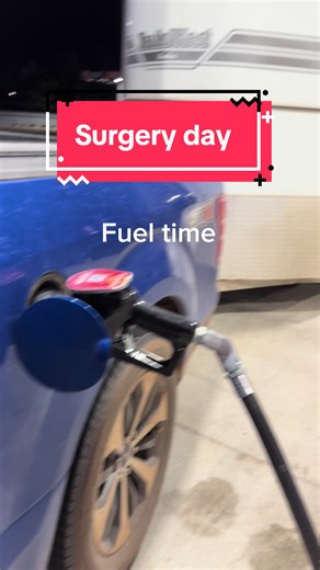 Ranch has a condition called patent urachus. It means the small tube that connects the bladder to the umbilical cord did not fully close after birth. He will be spending some time with the vets to treat the infected area before surgery is performed. Looking back at photos taken of him in the wild it was confirmed he has had this since birth. We are looking forward to him coming home and healing up. Check back for more updates on Ranch. #fyp #surgery #horsesurgery #horses #mustangs