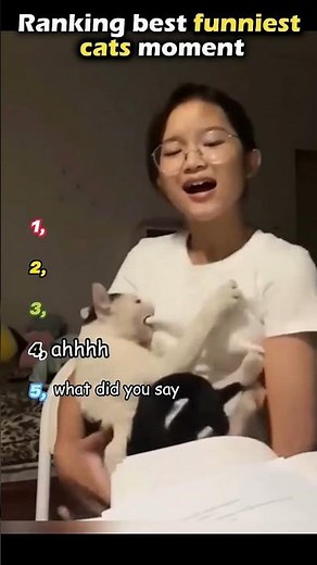 Ranking the Funniest Cat Moments Ever 😂🐱 | Try Not to Laugh!