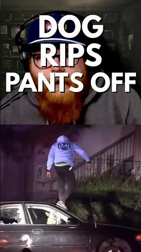 Police Dog Rips Pants Off Man Running From Cops #k9 #policechase #policedogs #cops