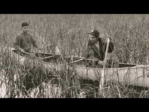 Harvesting Wild Rice with Sagkeeng Child and Family Services - 2012