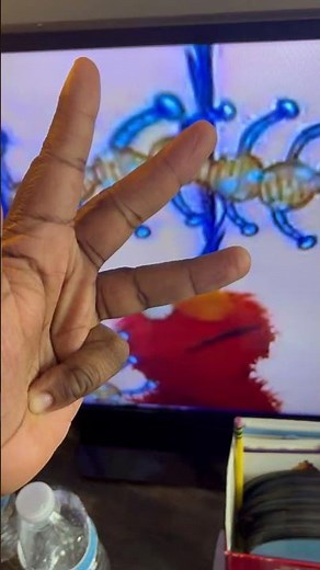 Elmo’s World Bugs Questions