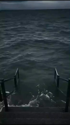 ocean memes on Instagram: "Never skip ocean memes ✅ #oceanlover #oceanmemes #marinelife #ocean #oceanjokes #sealife #beachvibes #sharkweek #sharkweek .. . ."