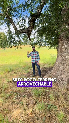 ¡Diferentes tipos de parcelas, diferentes precios!✨ Descubre todo lo que necesitas saber sobre los distintos terrenos disponibles en el mercado y encuentra la opción perfecta para ti. ¡No te lo pierdas! 🔎💰 | Tips Parcelas Chile