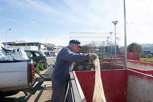 Que peut-on déposer à la déchetterie ?