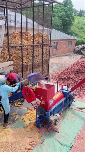Corn milling process #shorts
