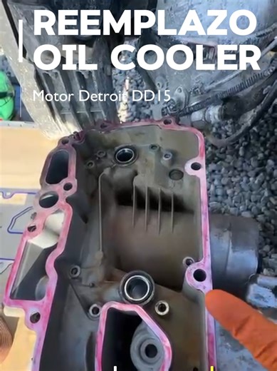 Reemplazo del oil cooler en un motor Detroit DD15, destacando puntos importantes de desmontaje, armado y recomendaciones para evitar fugas o retrabajos. Contenido práctico y directo, ideal para mecánicos que buscan procedimientos correctos y trabajos bien hechos desde la primera vez 💪 📌 Guarda este video 👍 Deja tu like si te gustaría ver la segunda parte #DFWTruckRepair #DetroitDD15 #OilCooler #MecanicaDiesel #DieselEngine @mecanicosunidos_u.s.a