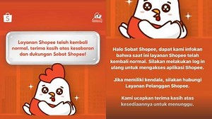 Shopee Sempat Error dan Logout Otomatis, Ini Penyebabnya - Tribunnews.com