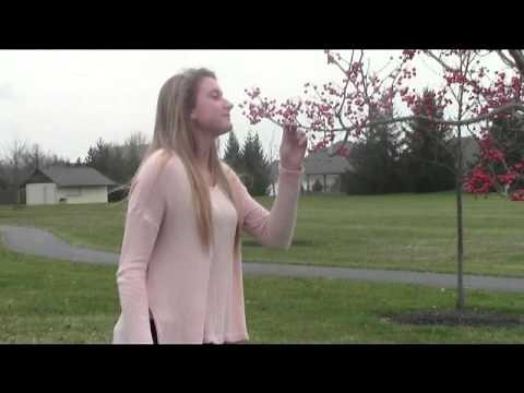 Full House Intro Remake