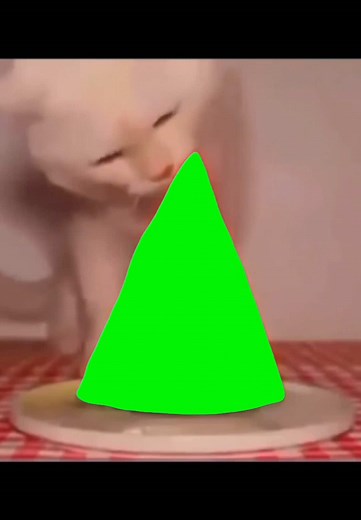 Cat Eating Watermelon Compilation on Green Screen
