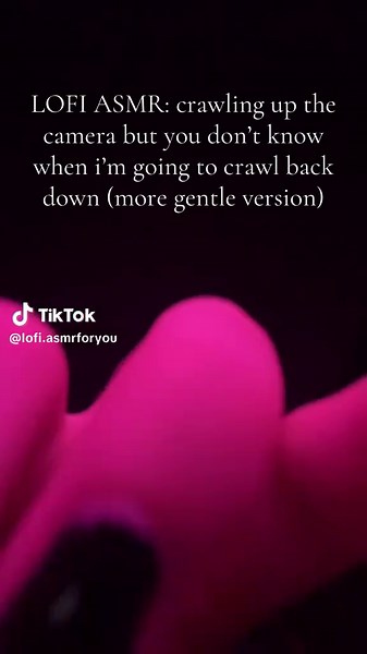 Enjoy Lo-Fi ASMR: Soft and Gentle Crawling Sounds