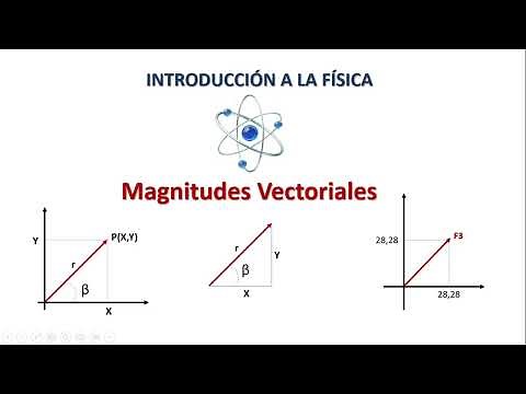 MAGNITUDES VECTORIALES. FÍSICA BÁSICA
