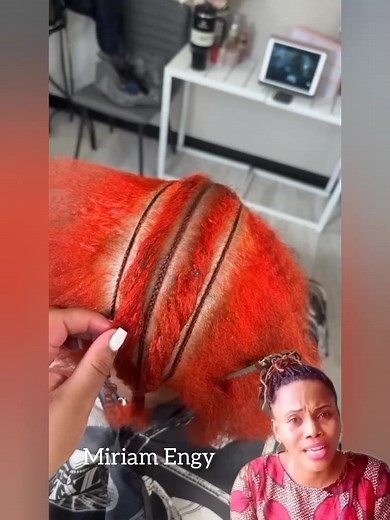 Corn rows with a classic beauty | Miriam Engy