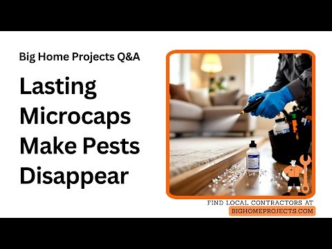 Lambda 9.7 CS Onslaught FastCap Microcaps Longevity Tips