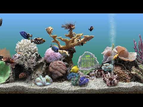 Serene Screen Aquarium screen saver