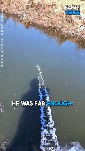 25K views · 35 reactions | Boy Drops Rocket Underwater — Then It Explodes  | Fact Verse | Facebook