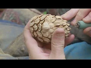 Best ever wood carving lesson and tutorial, Pinecone gnome final ASMR