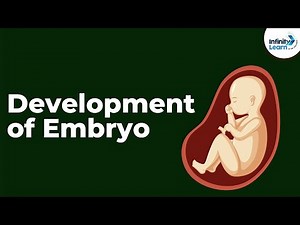 Development of Embryo Video Lecture | Science Class 8