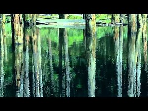 臺灣觀光六大主題「讚！臺灣」生態篇(60秒版)；"Bravo! Taiwan"-NATURE(60sec)；「いいね！台湾」―生態編