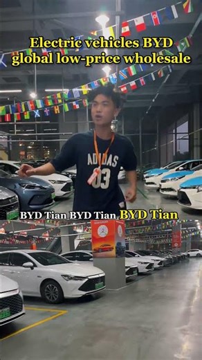BYD is one of the most renowned brands of electric vehicles globally.