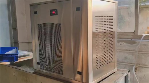 ICS-300 Stainless Steel Snow Flake Ice Making Machine CE Certificated Compressor Wholesale Snow Flake Ice Maker for Seafood Shop