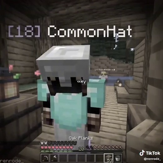 Minecraft Edit: Speed Silver and Gameplay Highlights