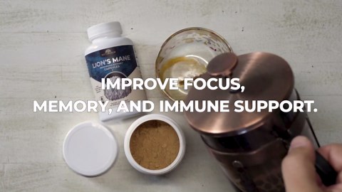 Naturealm Lion’s Mane Mushroom Liquid Tincture Supplement – Focus, Memory & Brain Health, Vegan, Non-GMO – Organic Fruiting Bodies, 1 Month Supply