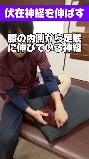 【膝の内側の痛みが続く人へ】足の指を動かすだけで伏在神経がゆるむ？研究で疼痛VASが平均20〜30％低下と報告※ 膝を直接触らない新しいリハビリ #理学療法士が解説 #膝