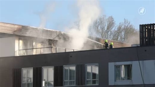 Gemist: Hart van Nederland - Late Editie: Grote brand instelling Halsteren