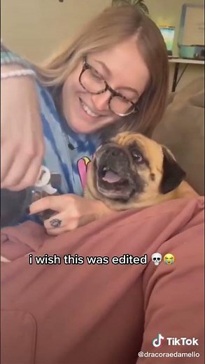 Screaming Pug Getting Nails Clipped 😭💀