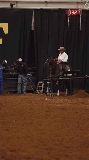 2022 BFA Select Barrel Horse Sale graduate JM Fast Lane Tamoney (The Goodbye Lane × Smart Pleasure) is turning heads with @bobbymote4x at the Rope Horse Futurities — and we love to see it. Owned by @relianceranchesofficial . Want a success story like this? Start yours this Friday at the 2025 BFA Select Barrel Horse Sale. #bfaselectbarrelhorsesale #salegraduate | BFA Barrel Horse Sale