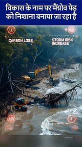 Mangrove Trees—Growth or Destruction This is an AI-generated video created for visual representation for education only. #mangrove #animals #trees #nature #fypシ゚viralシ #viralreelsシ #AI | Technical Rajan Singh