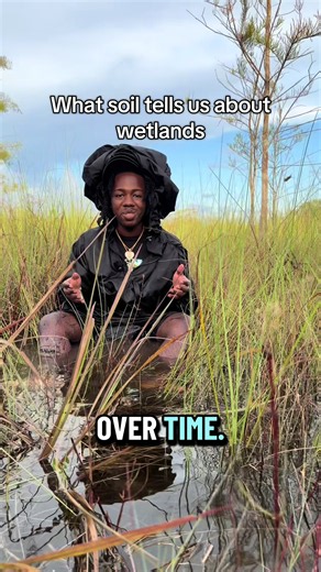 Everglades soil research: what soil tells us about wetlands