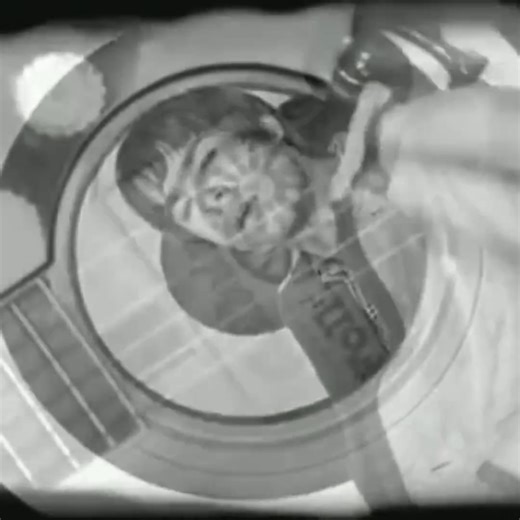 Oasis - Wonderwall | Your Music Video Playlist